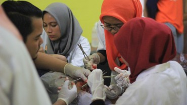 SPRING - SCOPH CIMSA UNAND thumb