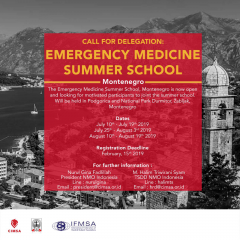CALL FOR DELEGATION: EMERGENCY MEDICINE SUMMER SCHOOL - MONTENEGRO